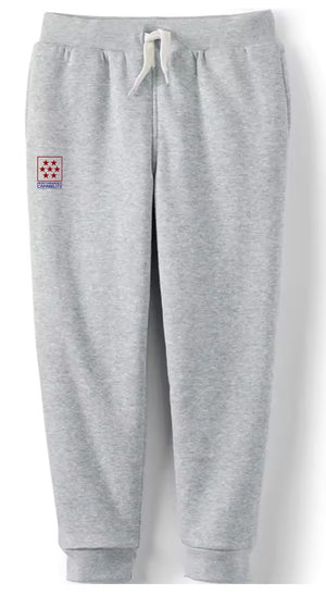 Kids Court Joggers/Bottoms Grey